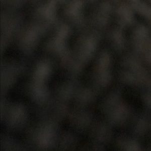 Meet your Posher, Tara